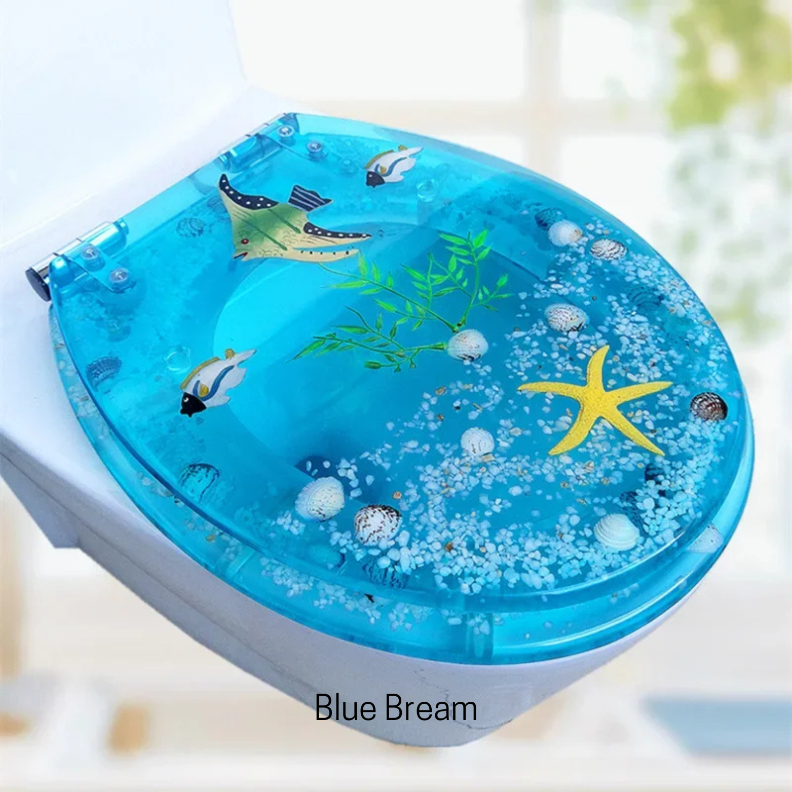 Frutiger Aero Toilet Seat