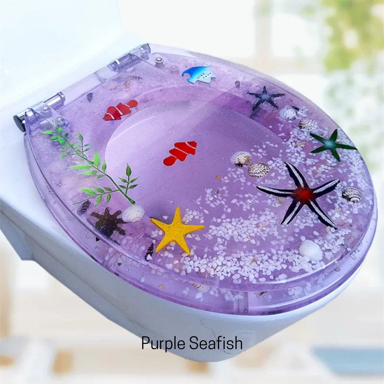 Frutiger Aero Toilet Seat