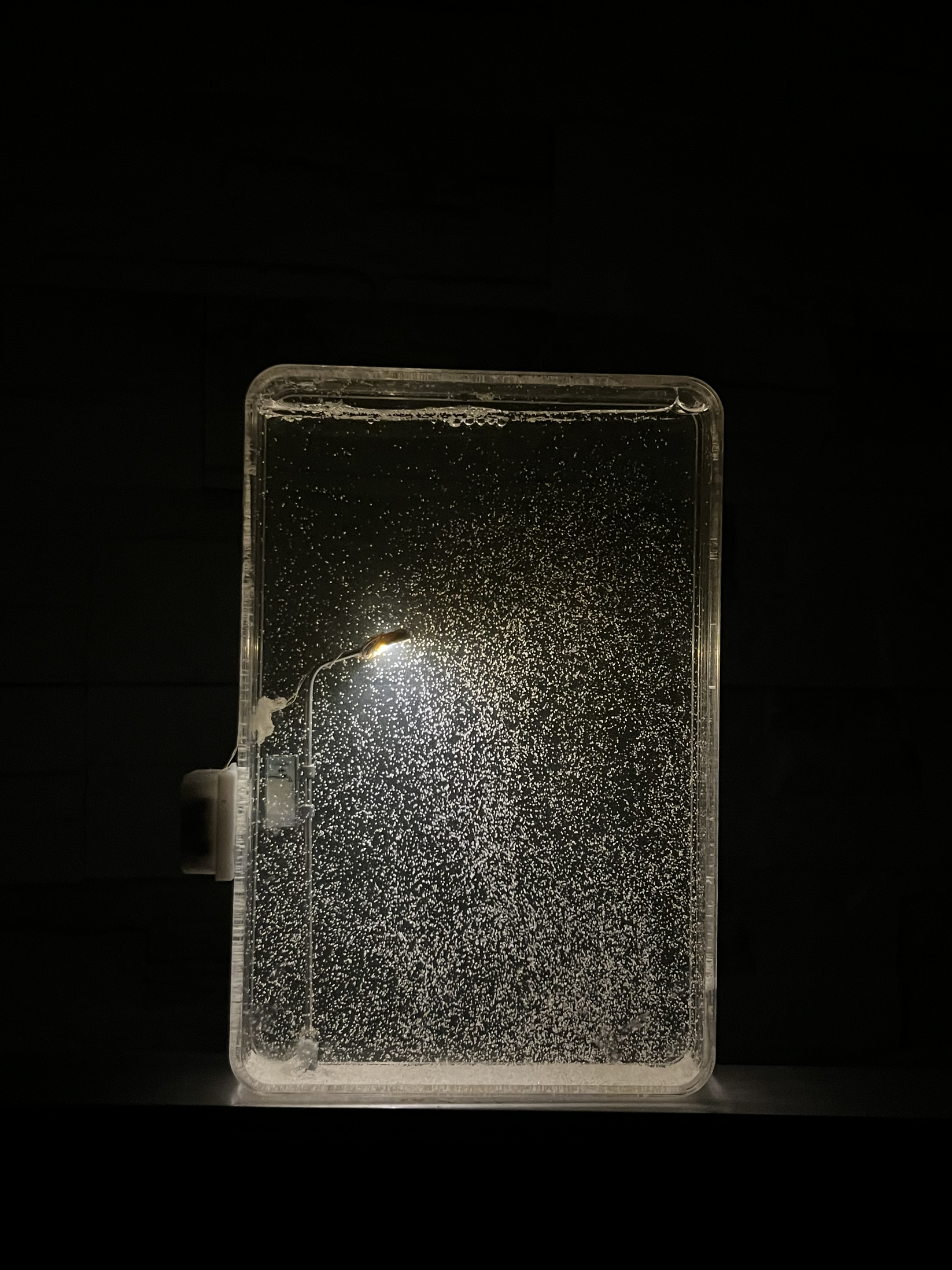 Snow Lamp