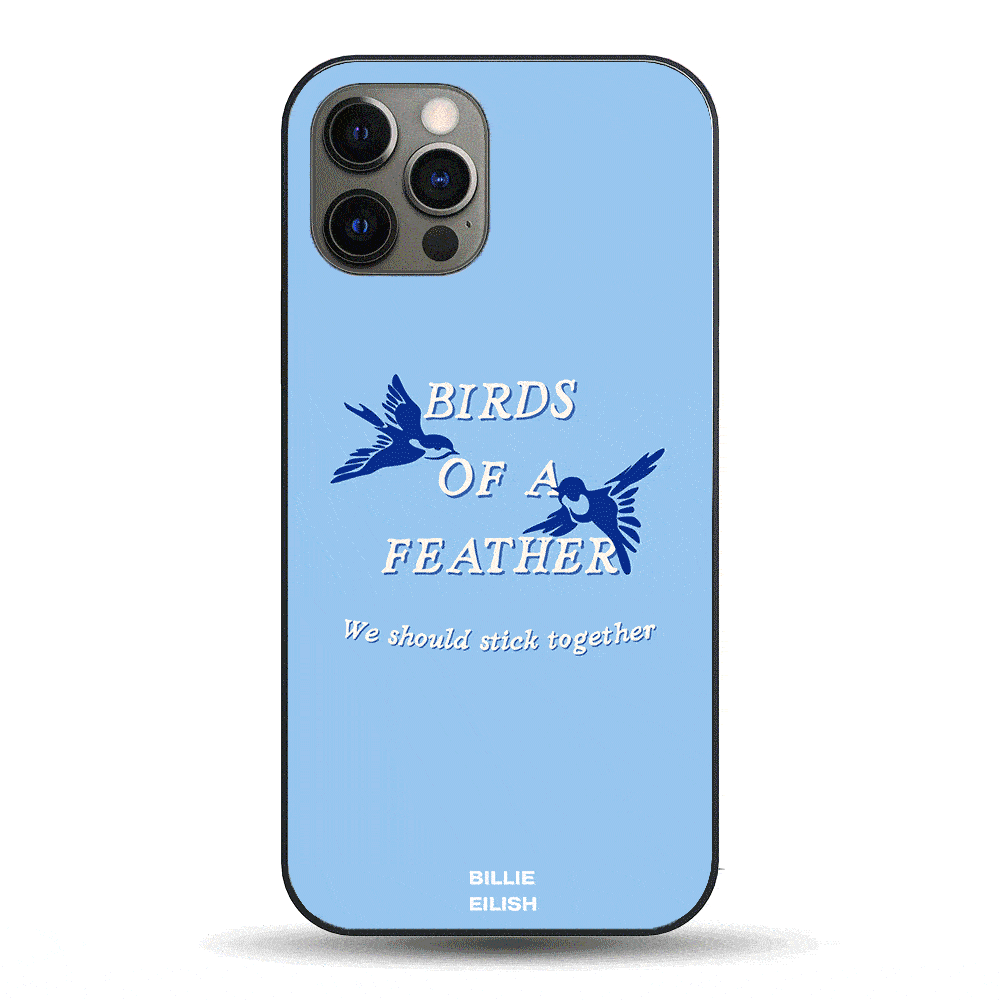 Birds of a Feather LED Phone Case